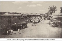 circa_1905_hog_day_on_the_square_in_headland_title_border