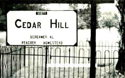 PeacockFamilyCemetery-CedarHill