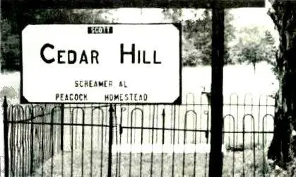 PeacockFamilyCemetery-CedarHill