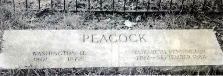 PeacockFamilyCemetery-PeacockWashington-ElizabethPennington